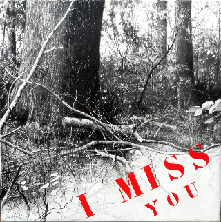 I MISS YOU 60 X 60 cm